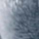 Blue-gray