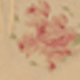 Hồng