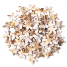 50pcs Beige Starfish Acrylic Ocean Series Turtle Loose Beads For Handmade Bracelet Necklace Jewelry Making - Multicolor - View 8