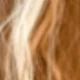 Orange Highlights