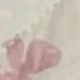 彩色