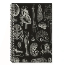 1pc Human Anatomy Spiral Notebook - Spiral Bound Medical Notebook With Labeled Body Diagrams, Suitable For Medical Students, Anatomy Coloring Book For Learners, Ideal For Study And Gift, Writing Pages Include Weekly Goals And To-Do List Sections, Lined Pages Spiral Notebook - M - View 8