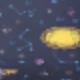 متعدد الألوان
