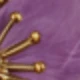 Golden Yellow + Purple