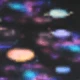 Multicolor