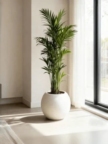 优雅白色球形防水塑料花盆 - 适合室内外使用，可种植人造植物、多肉植物、蕨类植物，非常适合客厅和办公室装饰。 - A - 查看 3