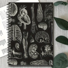 1pc Human Anatomy Spiral Notebook - Spiral Bound Medical Notebook With Labeled Body Diagrams, Suitable For Medical Students, Anatomy Coloring Book For Learners, Ideal For Study And Gift, Writing Pages Include Weekly Goals And To-Do List Sections, Lined Pages Spiral Notebook - M - View 3