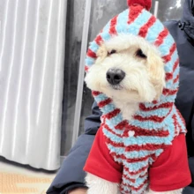 1 Bộ quần áo ấm áp kẻ sọc cho thú cưng, quần áo cho chó, quần áo cho mèo, phù hợp cho chó Teddy, Poodle, Maltese. - Đỏ - Xem 7