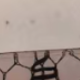 彩色