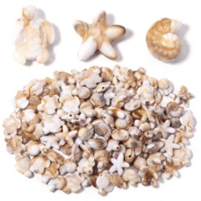 50pcs Beige Starfish Acrylic Ocean Series Turtle Loose Beads For Handmade Bracelet Necklace Jewelry Making - Multicolor - View 1