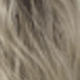 Blonde Ombre