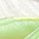Nhiều màu