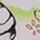 彩色