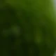 Green 3