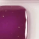 Red Violet