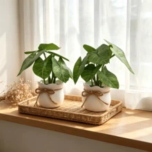 2件/組人造彩色葉芋頭盆栽，仿真綠色植物，迷你盆栽套組，居家與辦公室桌面裝飾，免維護 - 綠色 - 查看 12