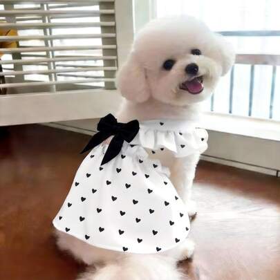 春夏宠物服装及用品，适合贵宾犬、比熊犬、博美犬和猫咪。特色是可爱的爱心主题狗狗服装。