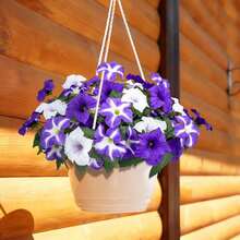 Artificial Purple-White Gerbera Daisy Decor, Artificial Flowers For Outdoors, Realistic Fake Flowers Petunias UV Resistant Silk Morning Glory Faux Plants For Outdoor Planters Balcony Yard Window Box Porch Garden Home Outside Decor - Multicolor - View 2