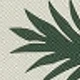 متعدد الألوان