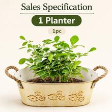 1pc/2pcs Beige Oval Planter With Decorative Rope, Large Capacity Design, Perfect For Planting Succulents, Herbs, Greenery Or Flowers, Suitable For Balcony, Living Room Or Windowsill - Flowerpot - View 2