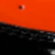 Orange Shark