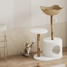Arbres à chat et condos - Pas de succursales - Voir 7