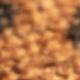 Brown Leopard Print