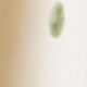 彩色