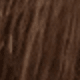 S4