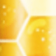 多色-Bee