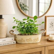 1pc/2pcs Beige Oval Planter With Decorative Rope, Large Capacity Design, Perfect For Planting Succulents, Herbs, Greenery Or Flowers, Suitable For Balcony, Living Room Or Windowsill - Flowerpot - View 7