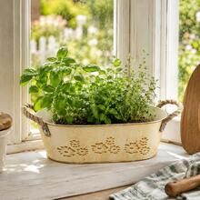 1pc/2pcs Beige Oval Planter With Decorative Rope, Large Capacity Design, Perfect For Planting Succulents, Herbs, Greenery Or Flowers, Suitable For Balcony, Living Room Or Windowsill - Flowerpot - View 6