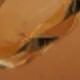 金色
