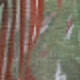 Nhiều màu