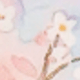 櫻舞漫天