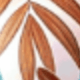 U-shaped Leaves With Canopy