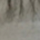米白