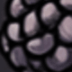 Blackberry