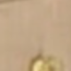 米色