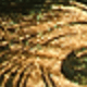 Verde Oscuro
