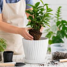 1个/2个/3个白色条纹花盆带托盘，适用于多肉植物、虎尾兰等，室内外装饰花盆 - 花盆 - 查看 5