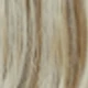 Blonde Highlight