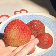 1 buah mainan squishy leci realistis dengan tekstur TPR lembut dan sensasi remas yang memuaskan. Sempurna untuk menghilangkan stres, permainan sensorik, relaksasi di meja kerja, dan mainan fidget portabel kapan saja! - Satu-Ukuran - View 1