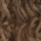 Brown Ombre
