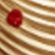 Golden Yellow + Rose Red