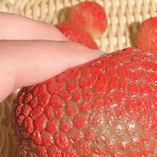 1 buah mainan squishy leci realistis dengan tekstur TPR lembut dan sensasi remas yang memuaskan. Sempurna untuk menghilangkan stres, permainan sensorik, relaksasi di meja kerja, dan mainan fidget portabel kapan saja! - Satu-Ukuran - View 5