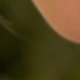 粉色