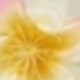 彩色