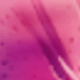 Pinkish-purple