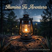 Oil Lamps - Black - View 9